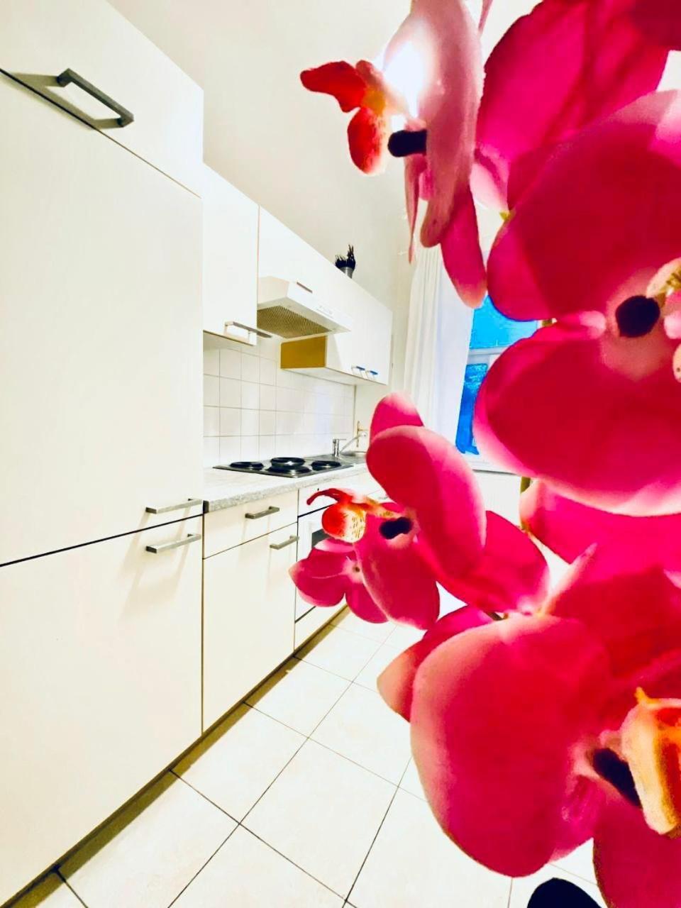 Cozy 2br For 6p, 10min Transport To Stadthalle * Vienna
